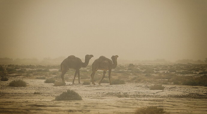 Wind & Sand.jpg