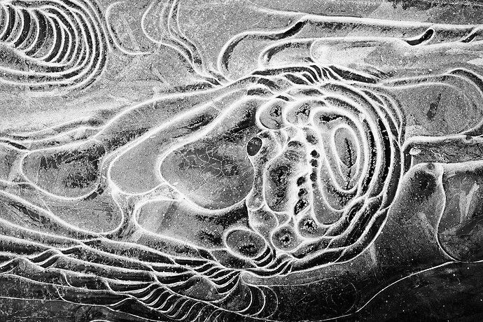 a1b381eb64fd789d5c5fe319418f60ab61f76b33_bw