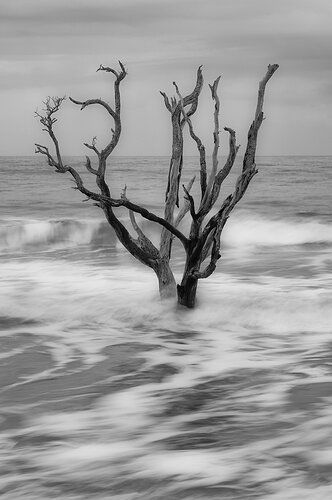 Grey Stormy Day