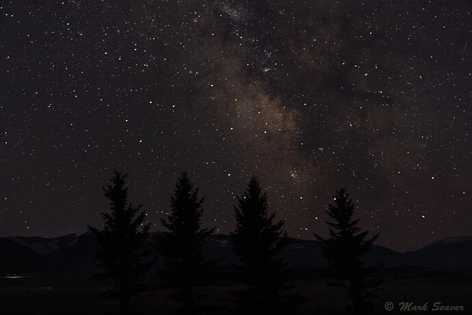 Milky Way over 4 trees.jpg