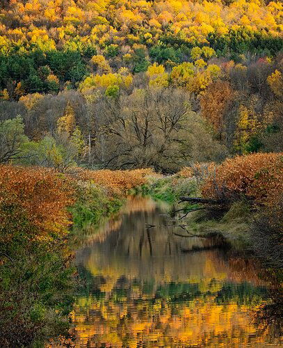 Fall Delight