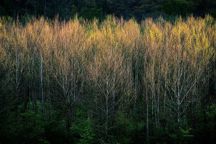 20210502-Highbanks Ridge-107-Edit-2-Recovered-web1500x1001_U_100-2