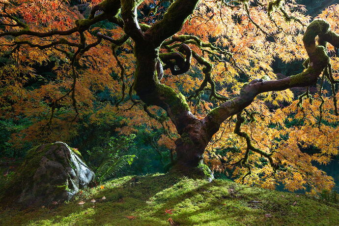 IMG5DIIIPost10k_4026NPNWebLrg-NPNWebLrg 4.9mb-5