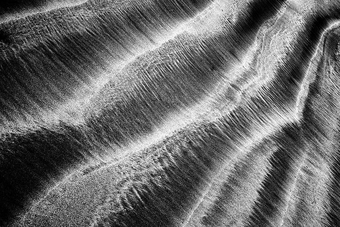 _DSC8495_bw.jpg