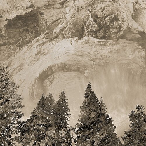 Ashland_Sky_Wood copy.jpg