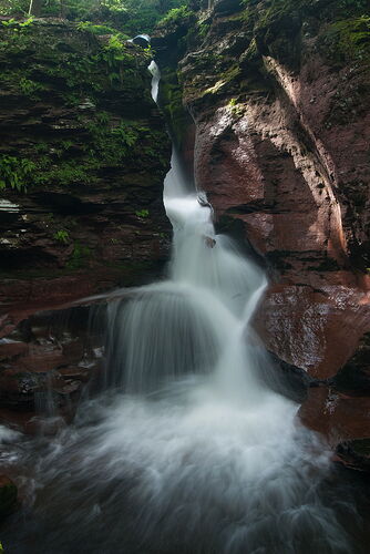 _DSC0057w