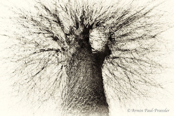 _PPA8023 Kopie-watermarked.jpg