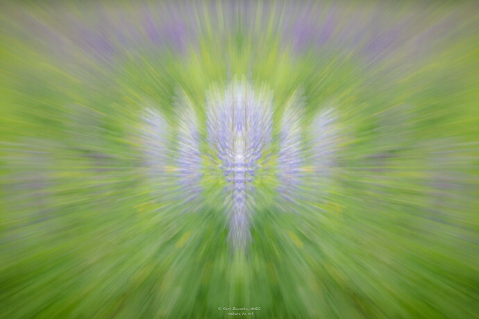 Original - _DSC2011-Edit.jpg