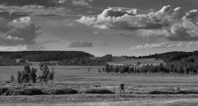 Original - DSC_1840.jpg