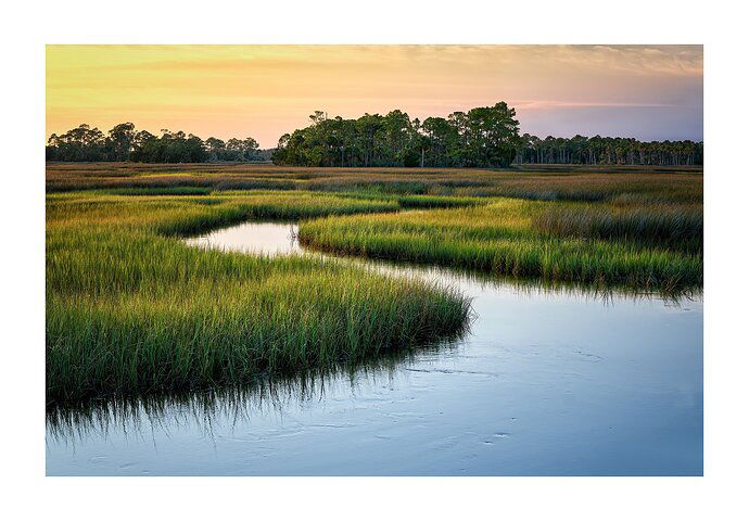 Soft Marsh Sunset