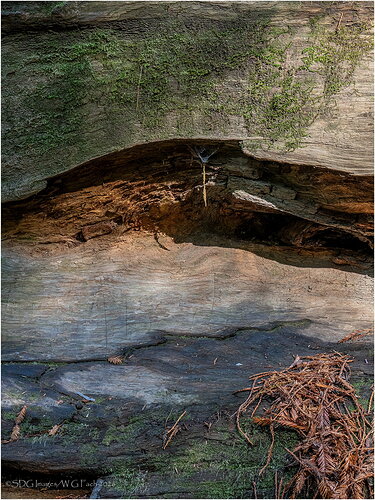 In-Repose-9582-1-HDR-A7r3-26.jpg