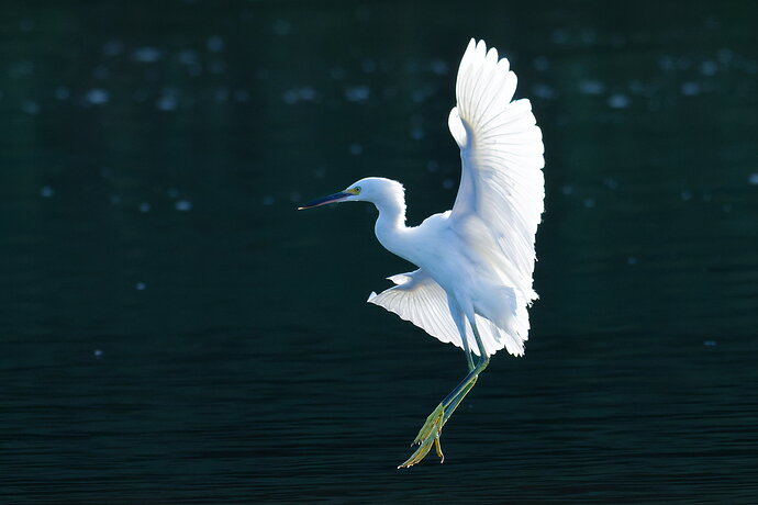 Original - _DSC1163_DxO.jpg