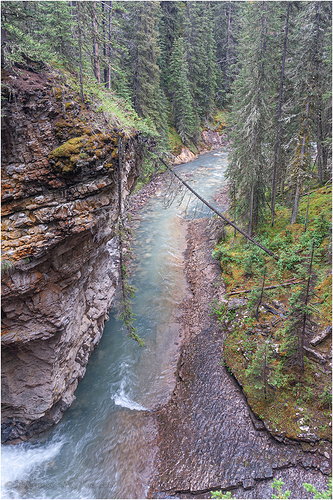 Original - Hang-In-There-5076A700-26.jpg