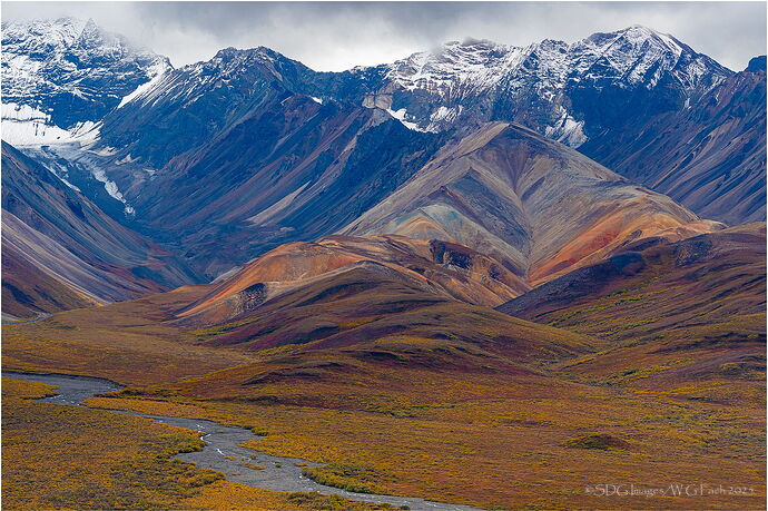 Transitions-7990A772-25.jpg