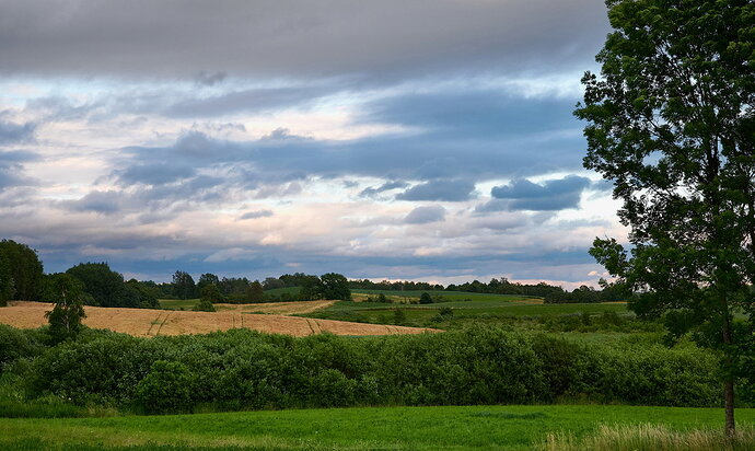 Revision 1 - DSC_1674.jpg