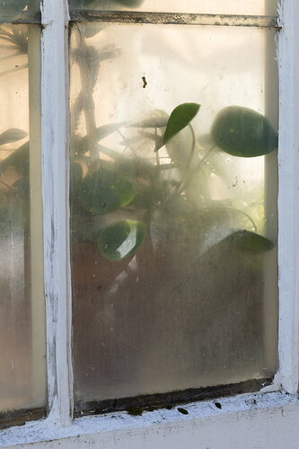 Additional image 2