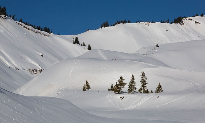 IMG5DIII_0780NPNWebLrg-2