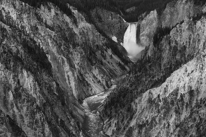 FrickeScreenshot 2026-03-14 100058