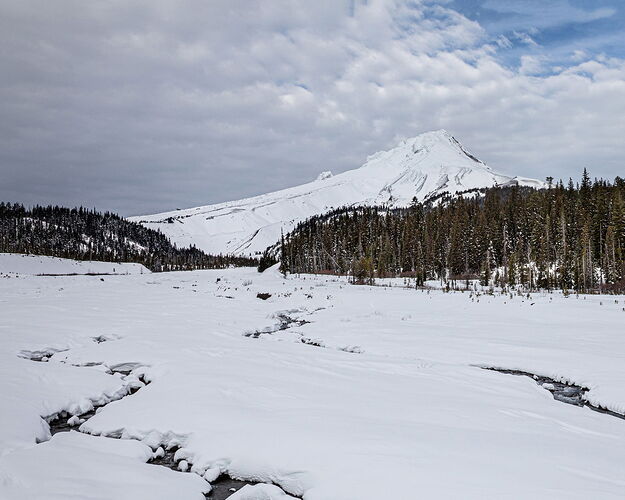 IMG5DMarkIV_0125NPNWebLrg-5