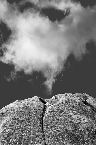 RRF_040914_0132_GS.jpg