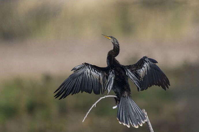 _O7A7949-Edit-2-2-280.jpg