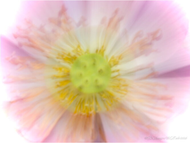 Original - Explotus-75656A7r3-26.jpg