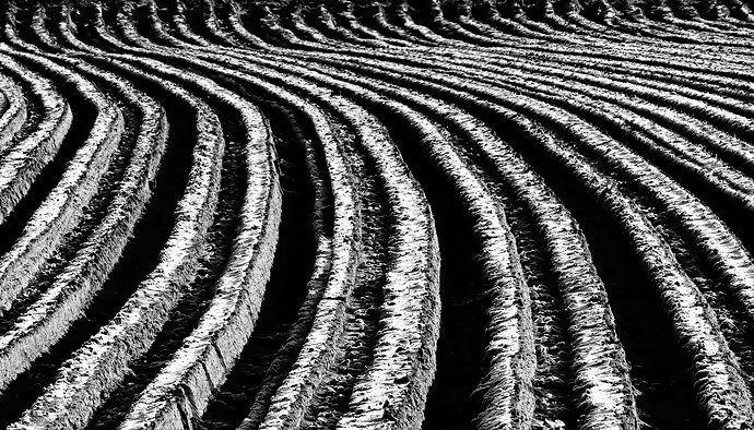 Frozen Furrows