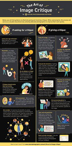 Art of Image Critique Infographic