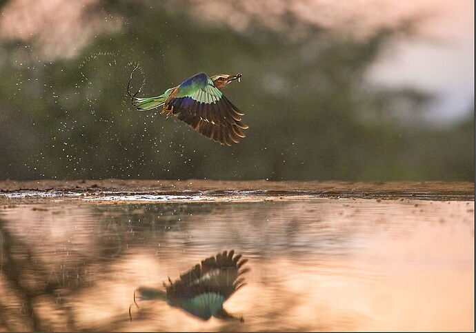 Breakfast roller_DxO