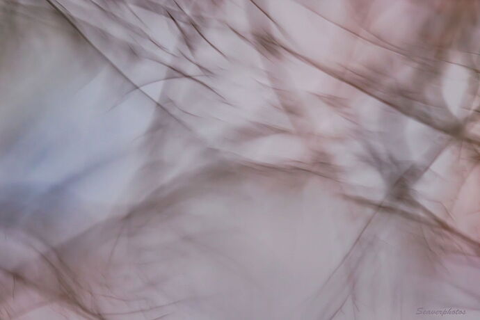 Moving Water Meditation #1.jpg