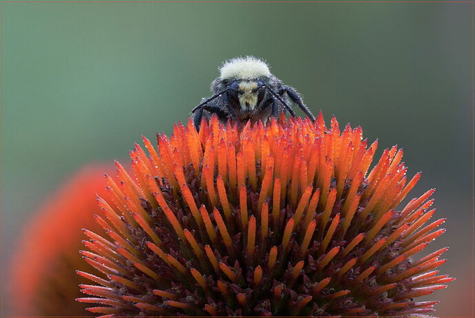 2025-08-20 13-41-34 (B,R11,S5)-Edit.jpg