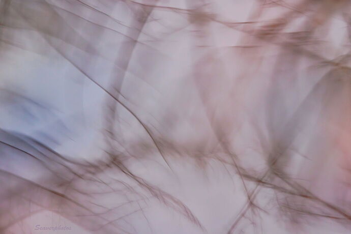 Moving Water Meditation #2.jpg