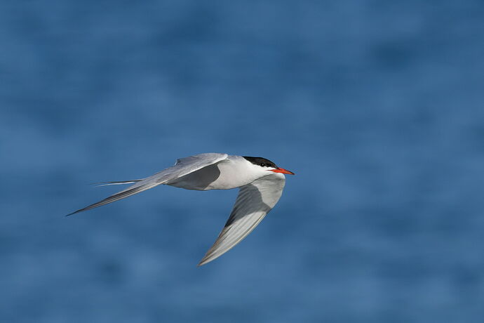 DSC_4261_DxO.jpg