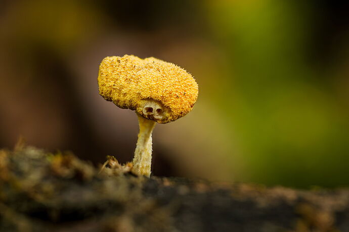 2025-09-28-09.45.45 ZS retouched.jpg