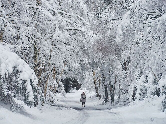 Snow-Nirvana-2-ntl.jpg