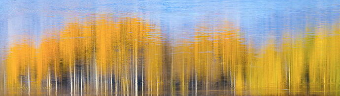 Fall Reflections