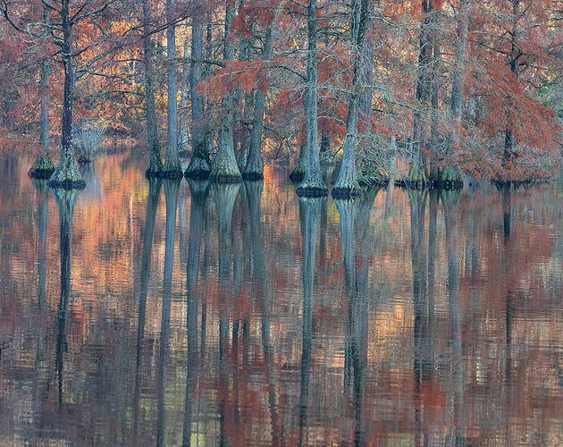 _DSC6085-Recovered copy.jpg