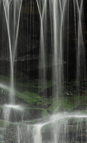 _DSC2599 copy.jpg