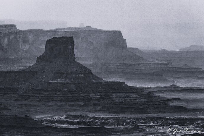 Rainy, Canyonlands National Park, UT.