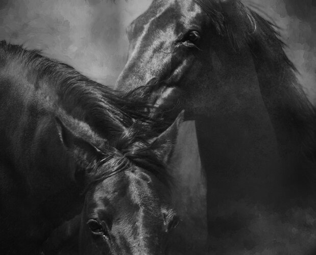 The Mares