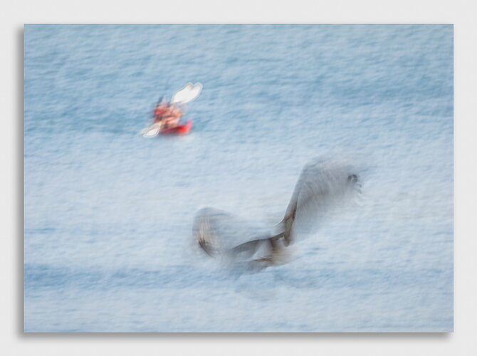 Original - _DSC5667-Edit.jpg