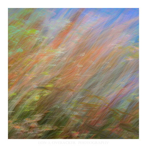 55Z7__2380ICM-npn.jpg