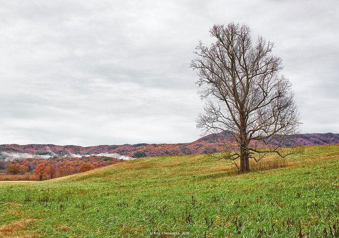 _1FX9123 - Cades Cove Scenic C1 - 1500