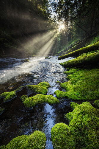 20215_06-PNW Waterfalls-375-Enhanced-NR.jpg