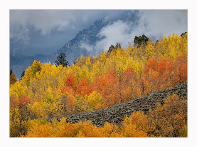 _DSC5829-Edit