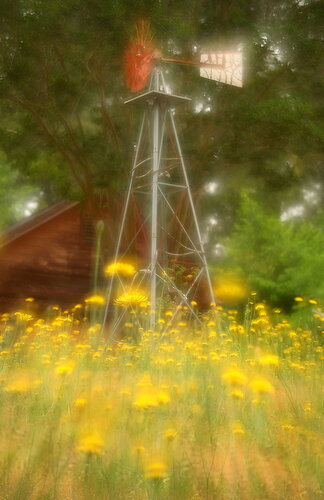 Dreaming of Spring