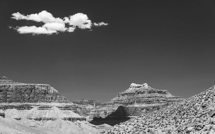 MatthewChathamPhotography1-NPN-11