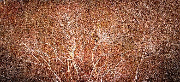 Neural Network Abstract