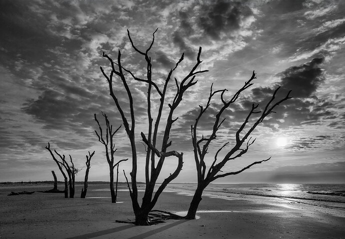 _DSC5094 copy.jpg