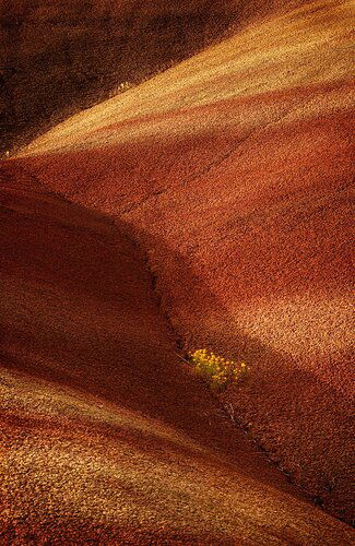 Painted Hills small scene